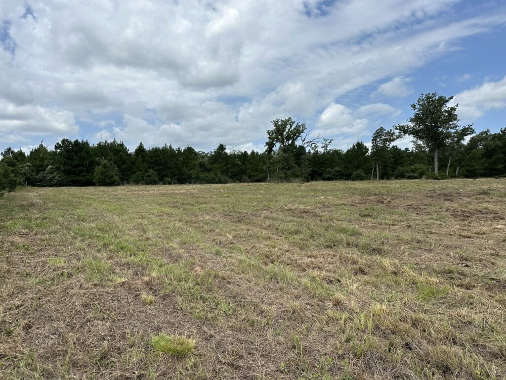 Forestry mulching improving property value for rural landowner