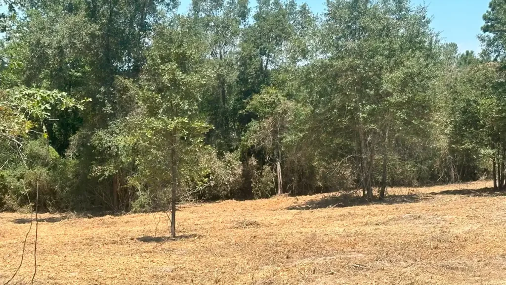 Land clearing project preparing acreage for new home construction