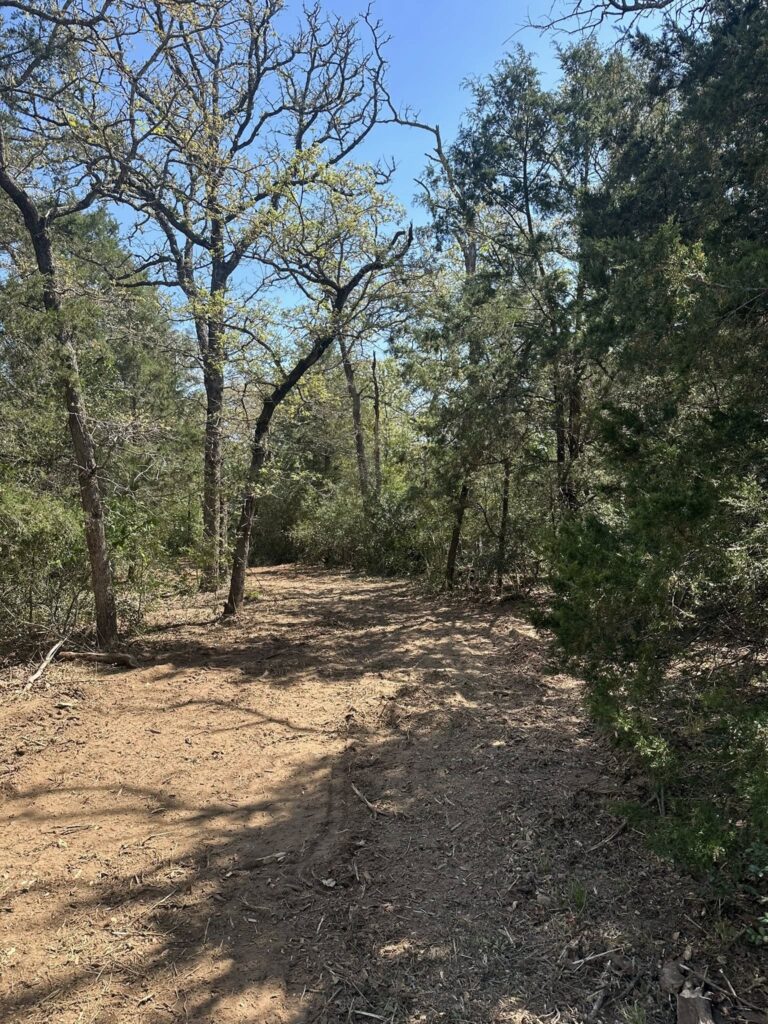 Land clearing preparing Texas acreage for agricultural use