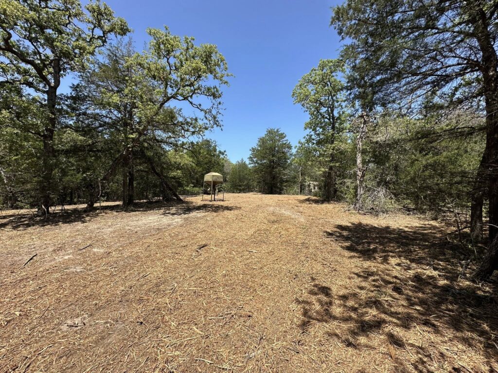 Forestry mulching clearing land for wildlife habitat restoration