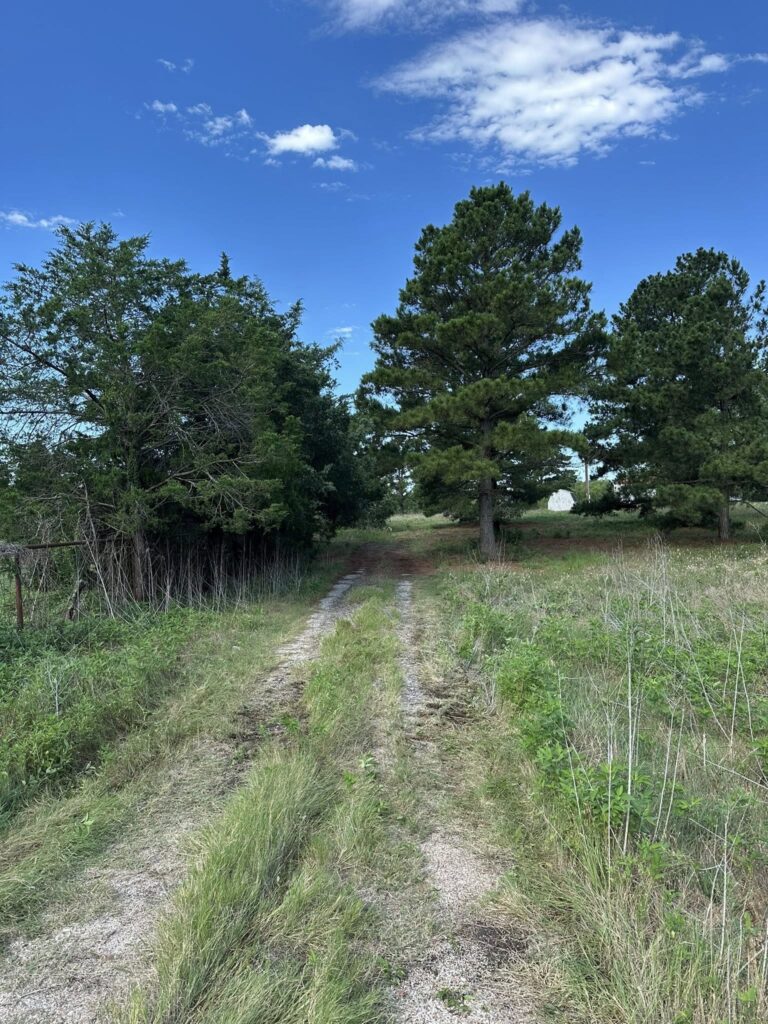 Forestry mulching improving property value for rural landowner