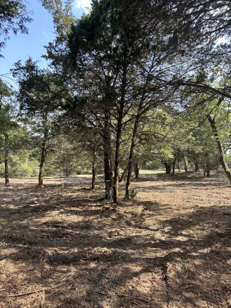 Forestry mulching improving property value for rural landowner