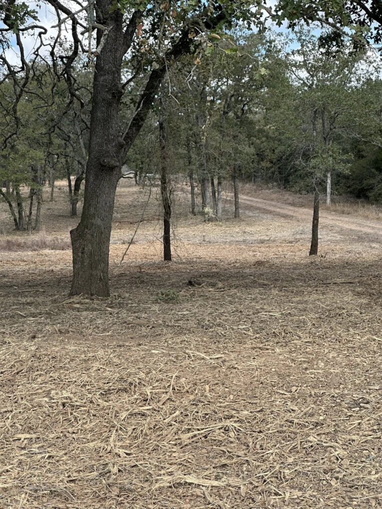 Forestry mulching clearing land for wildlife habitat restoration