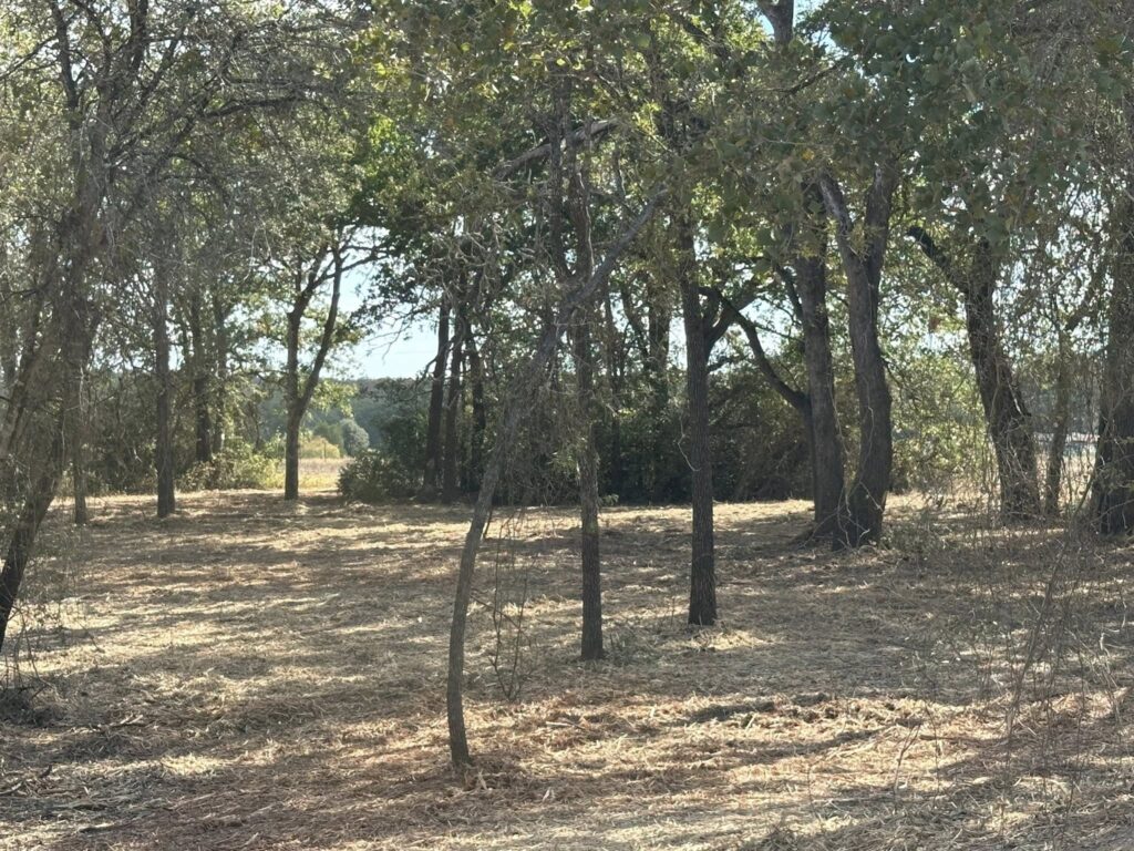 Forestry mulching project near Lexington Texas rural property