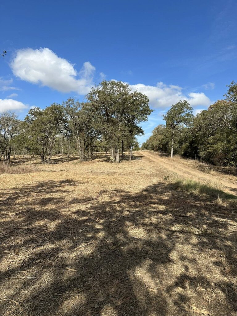 Land clearing preparing Texas acreage for agricultural use