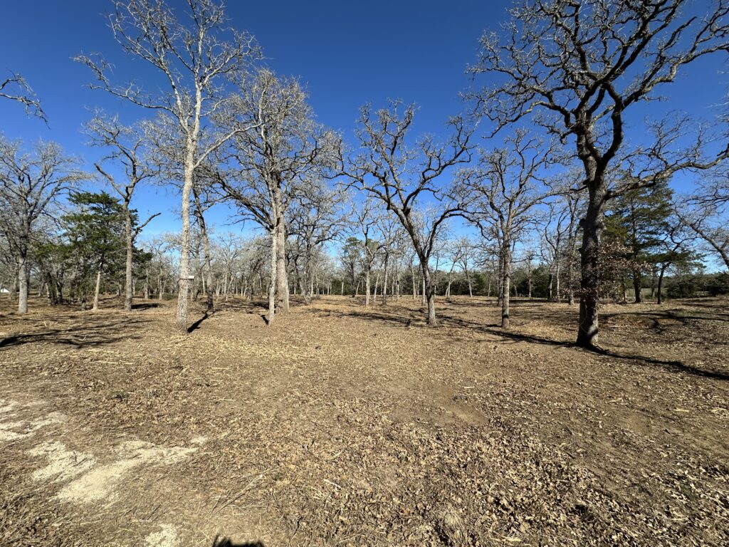 Land clearing preparing Texas acreage for property improvements