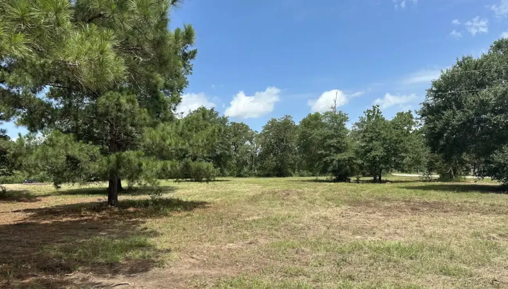 Land clearing preparing Texas acreage for agricultural use