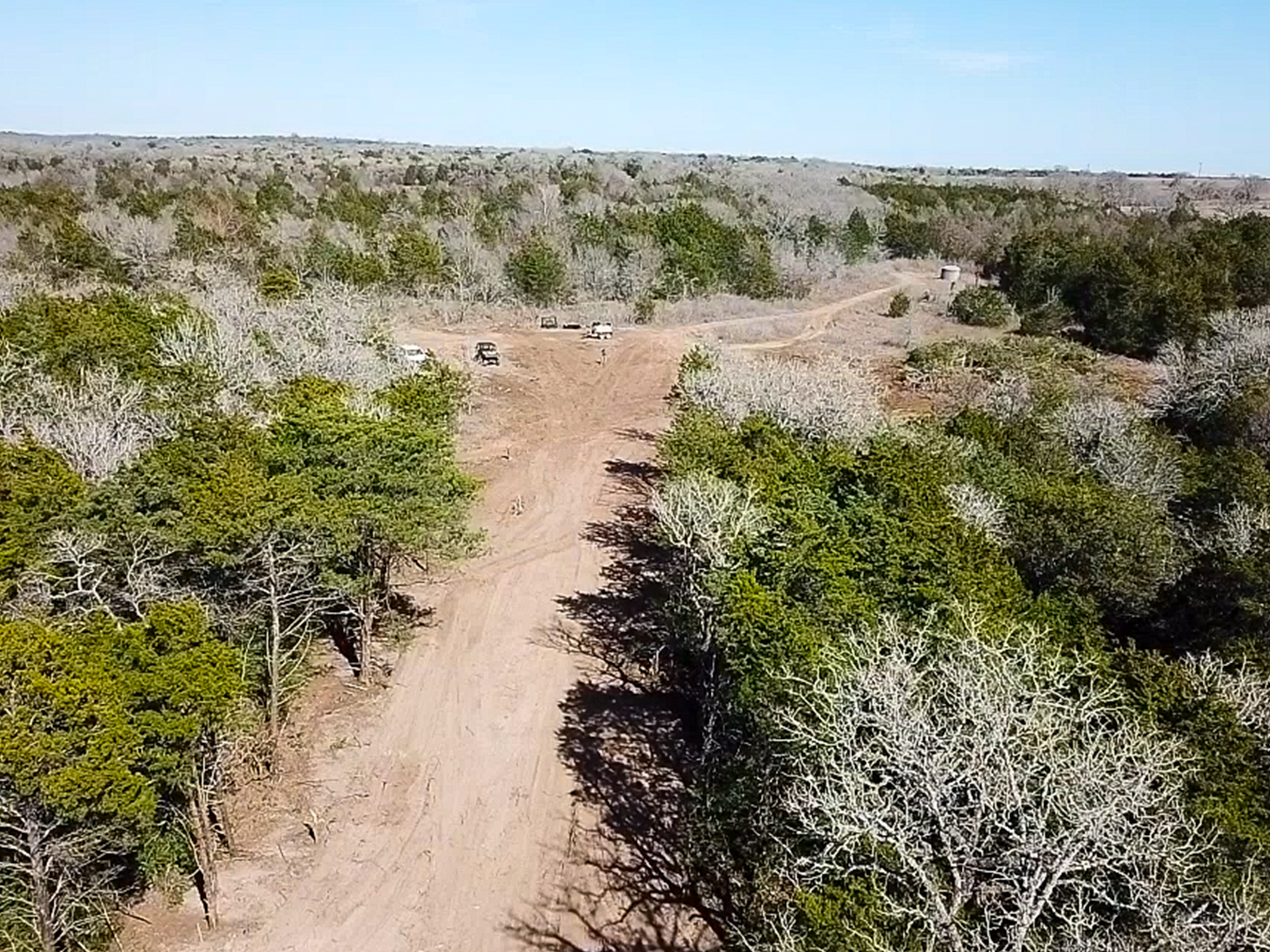 Forestry mulching clearing cedar trees on rural property in Lexington Texas
